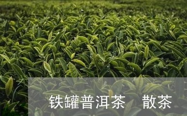 铁罐普洱茶 散茶/2023041037481